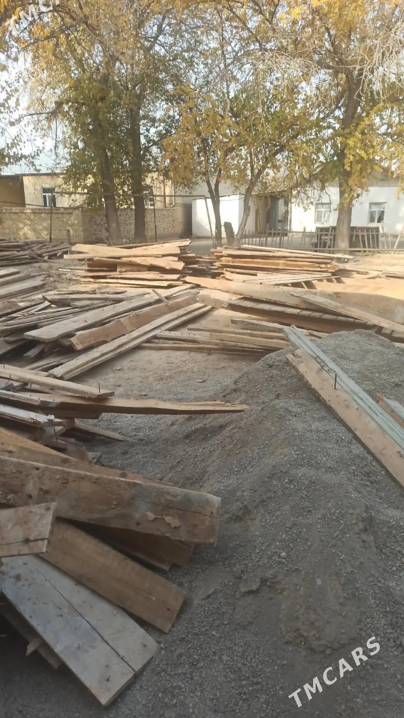 pollyk tagta - Kerki - img 5