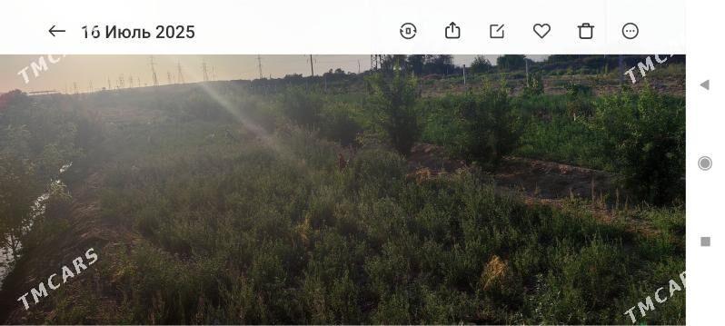 Änew plan - Änew - img 2