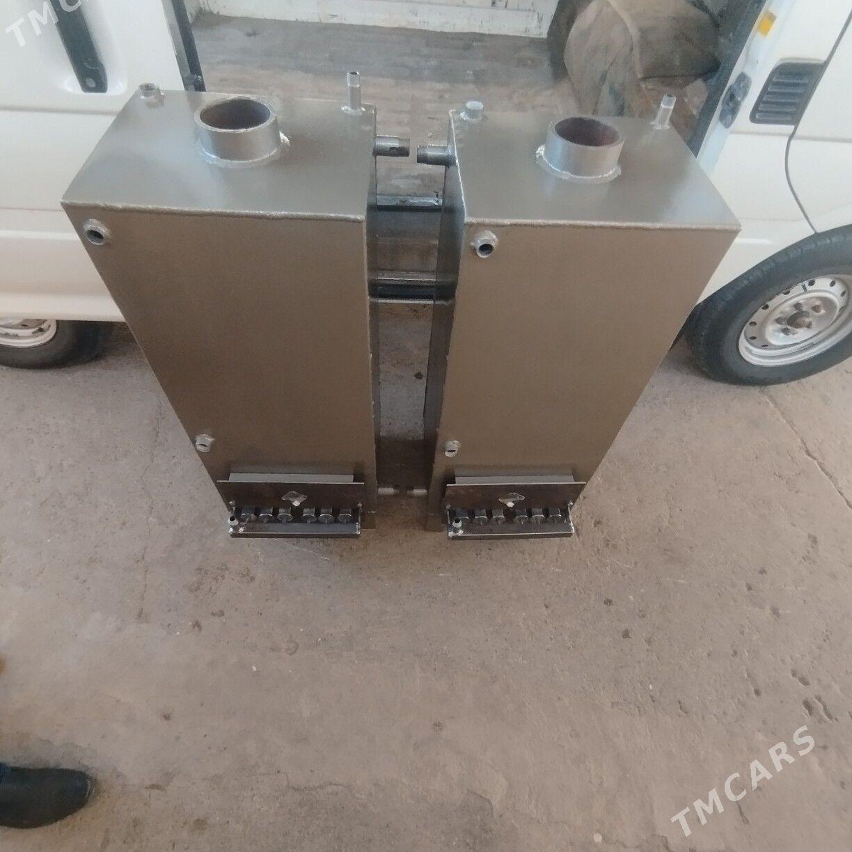 katyol atapleniya - Büzmeýin - img 3