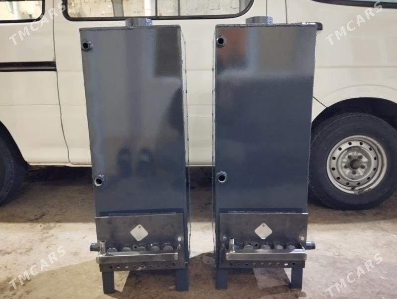 katyol atapleniya - Büzmeýin - img 4