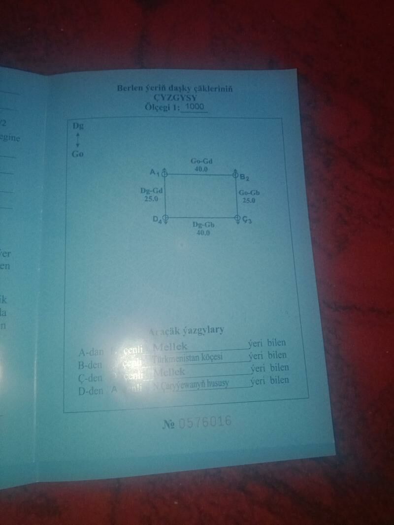 Mellek yer - Seýdi - img 1