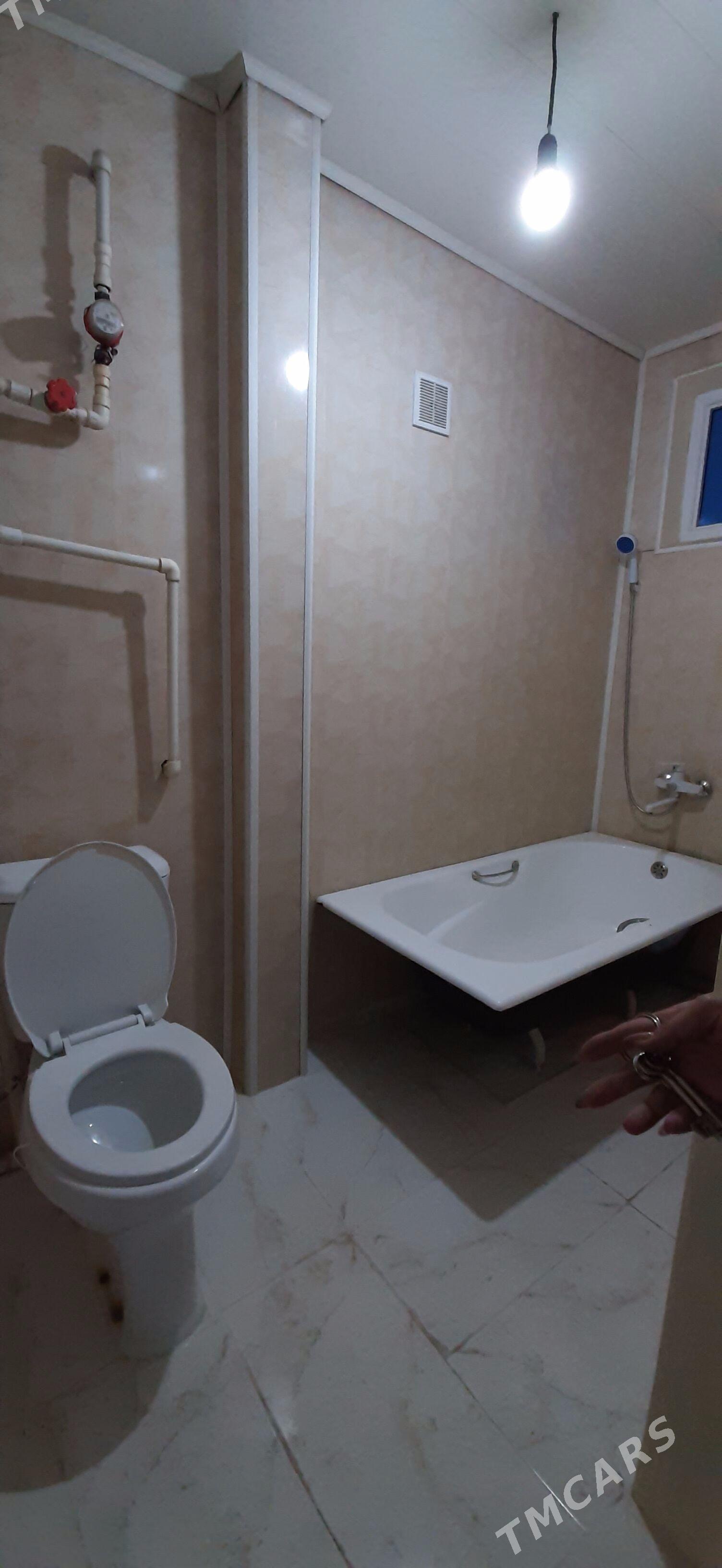 Безмеин томатный 4ком в3 - Büzmeýin - img 6