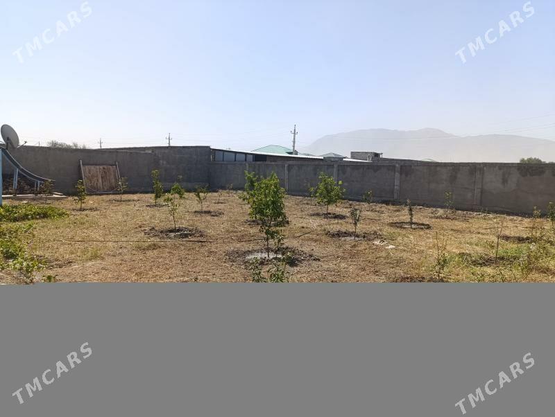 Gökdepe Akgoňur howly arenada - Gökdepe - img 2