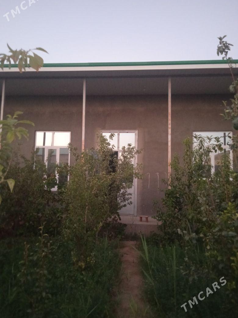 AYRAPOT DAÇA - Туркменабат - img 2