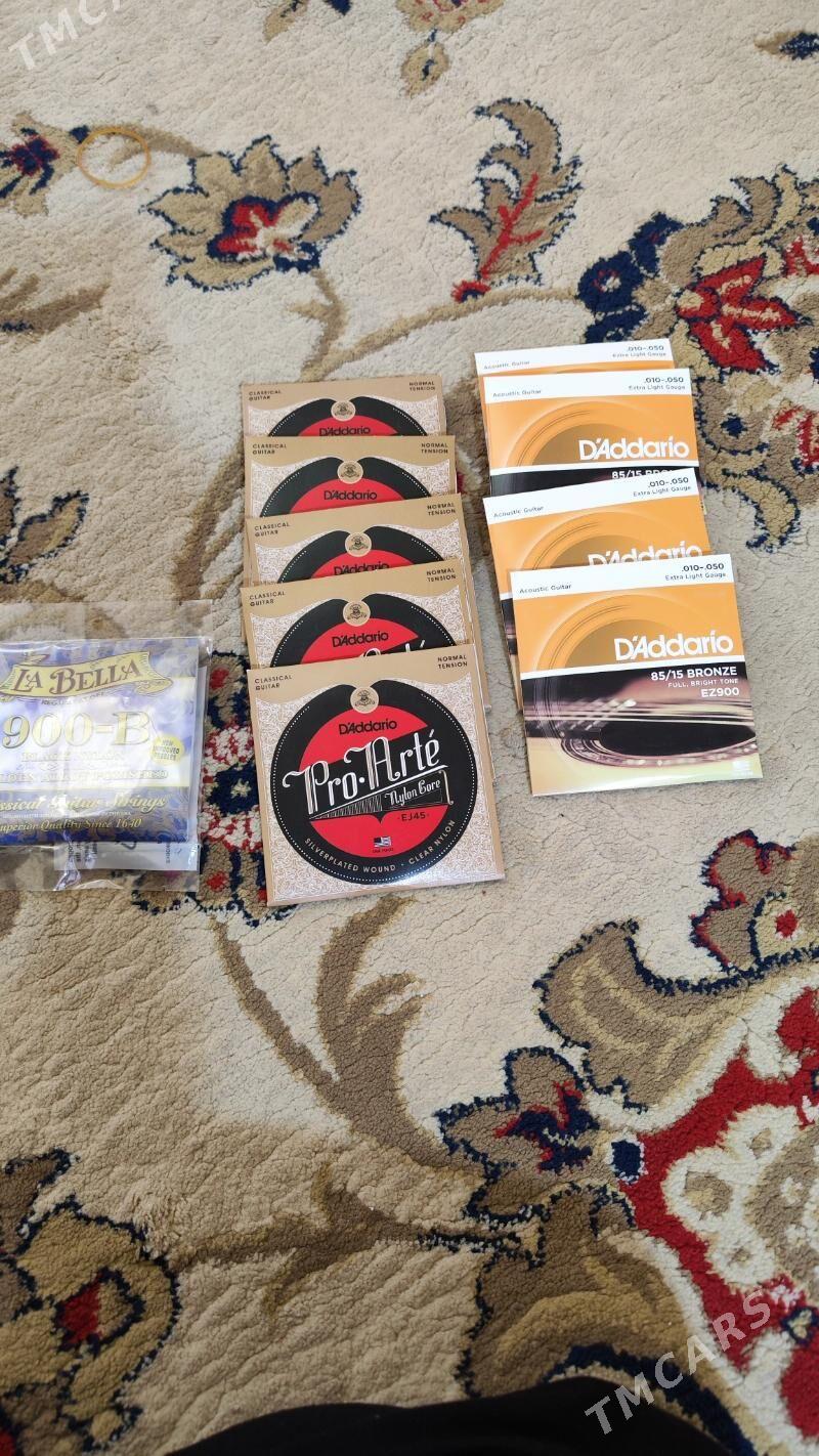 Daddario Labella - Daşoguz - img 2