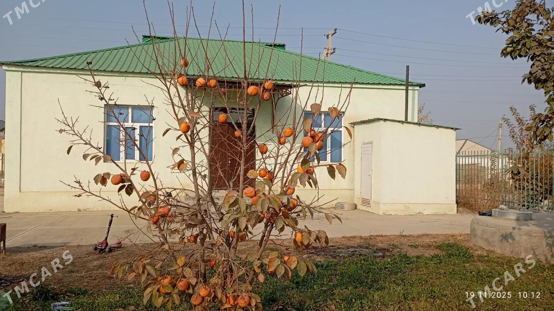 Jaÿ elitka - Гёкдепе - img 2