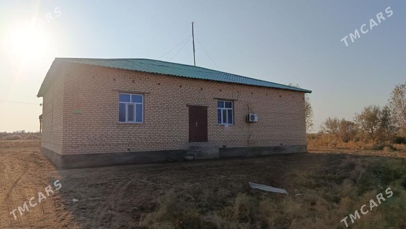 pylan jay - Türkmenbaşy etr. - img 3