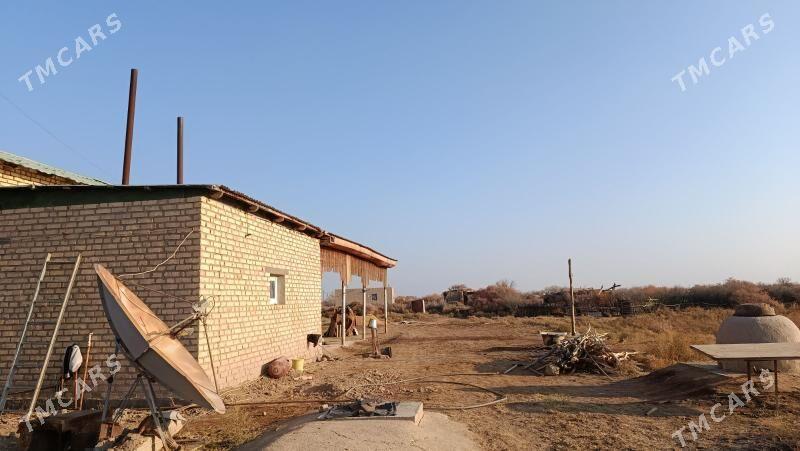 pylan jay - Türkmenbaşy etr. - img 5
