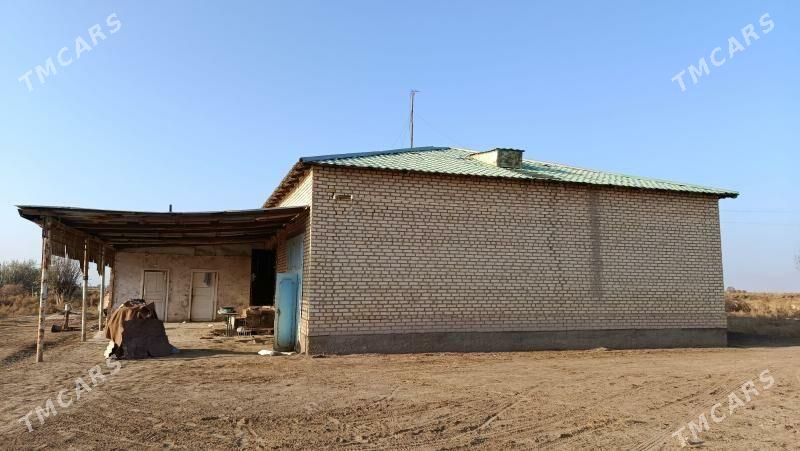 pylan jay - Türkmenbaşy etr. - img 2