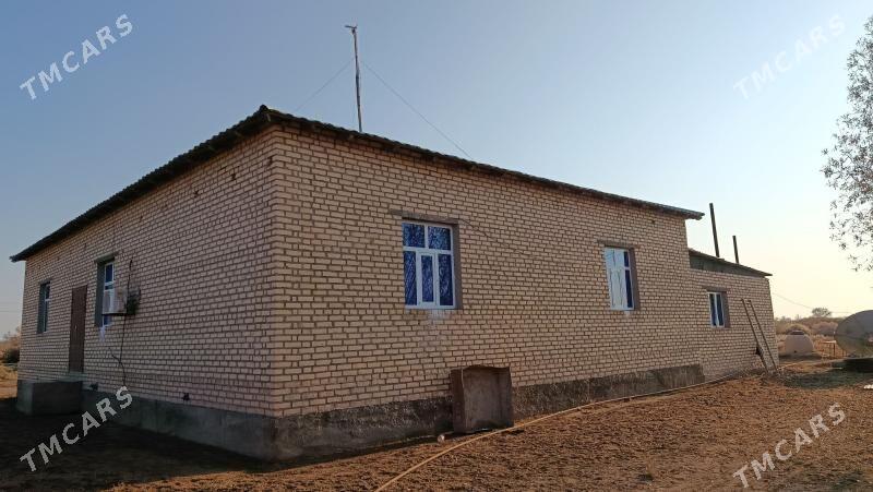 pylan jay - Türkmenbaşy etr. - img 4