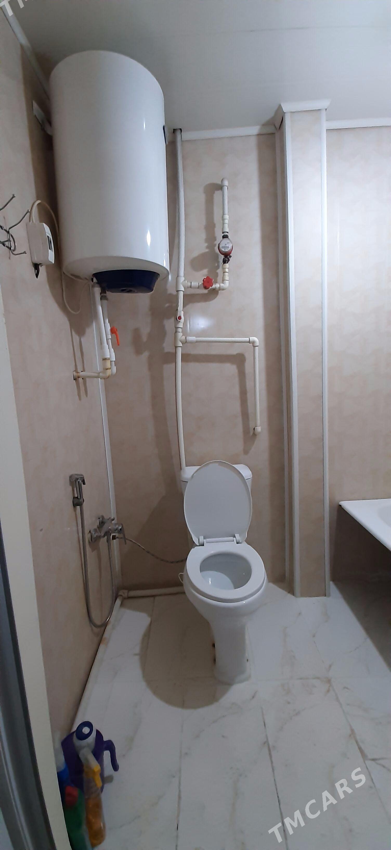 Безмеин томатный 4ком в3 - Büzmeýin - img 7