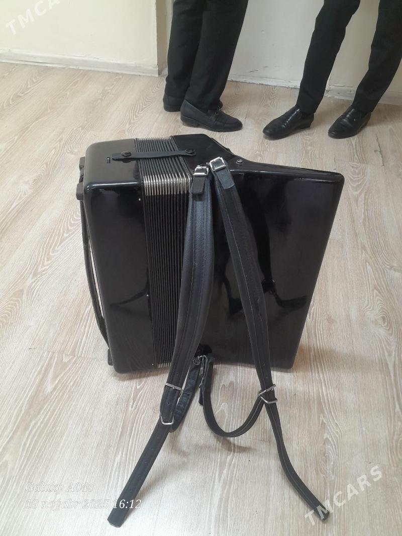 Akkordeon serina - Багир - img 4