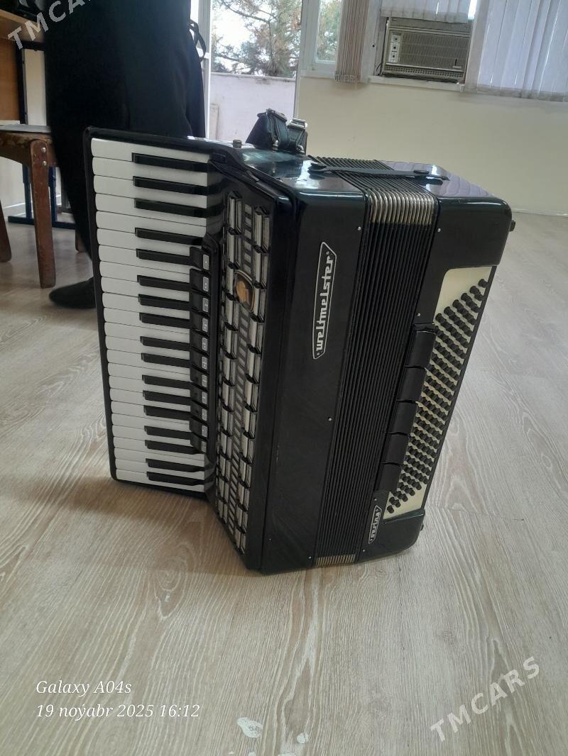 Akkordeon serina - Багир - img 5