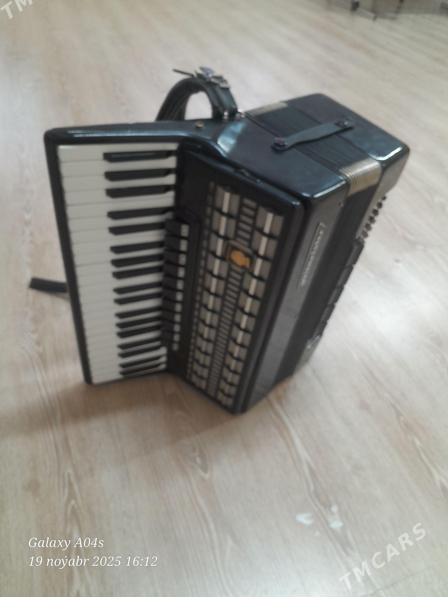 Akkordeon serina - Багир - img 3