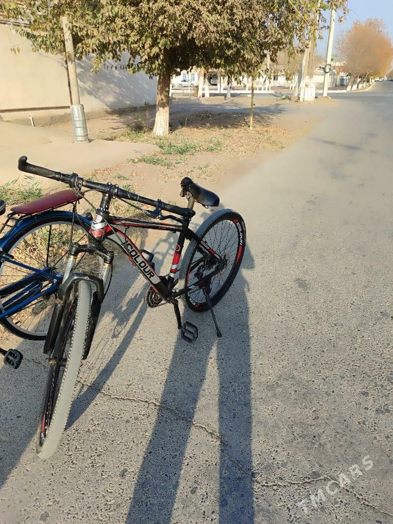 Welesoped - Tejen - img 2