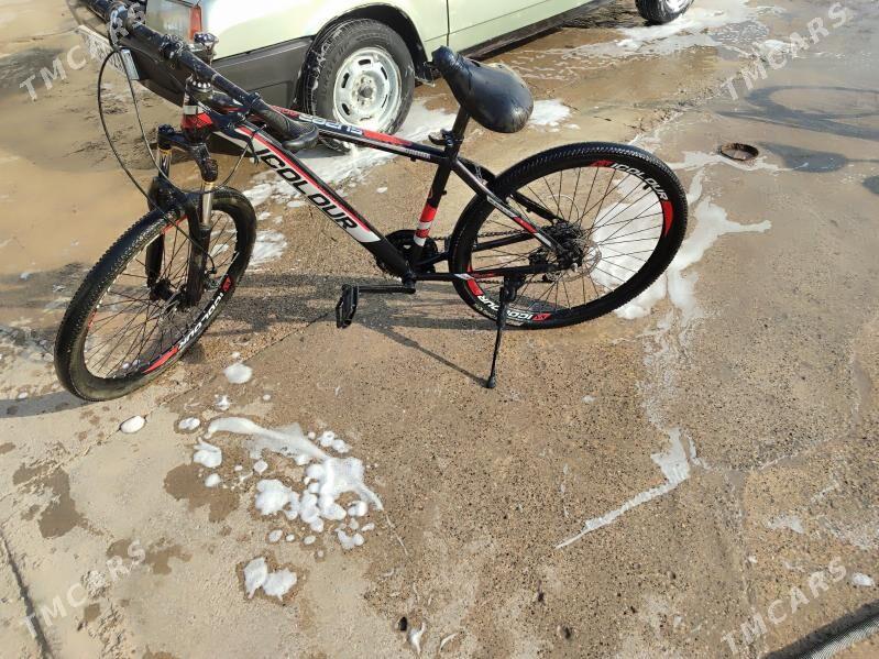 Welesoped - Tejen - img 3