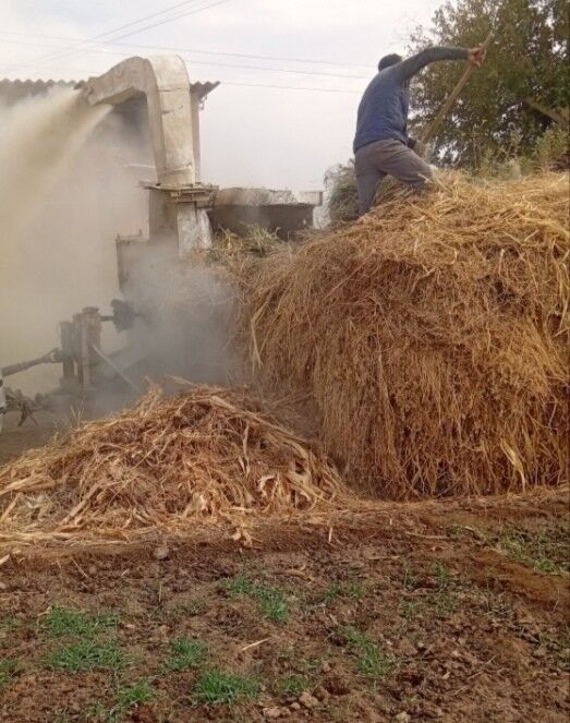 MTZ T-28 1992 - 65 000 TMT - Mary - img 10