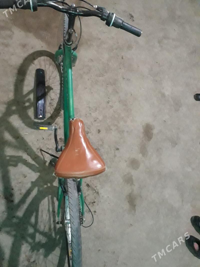 Velik - Гурбансолтан Едже - img 4