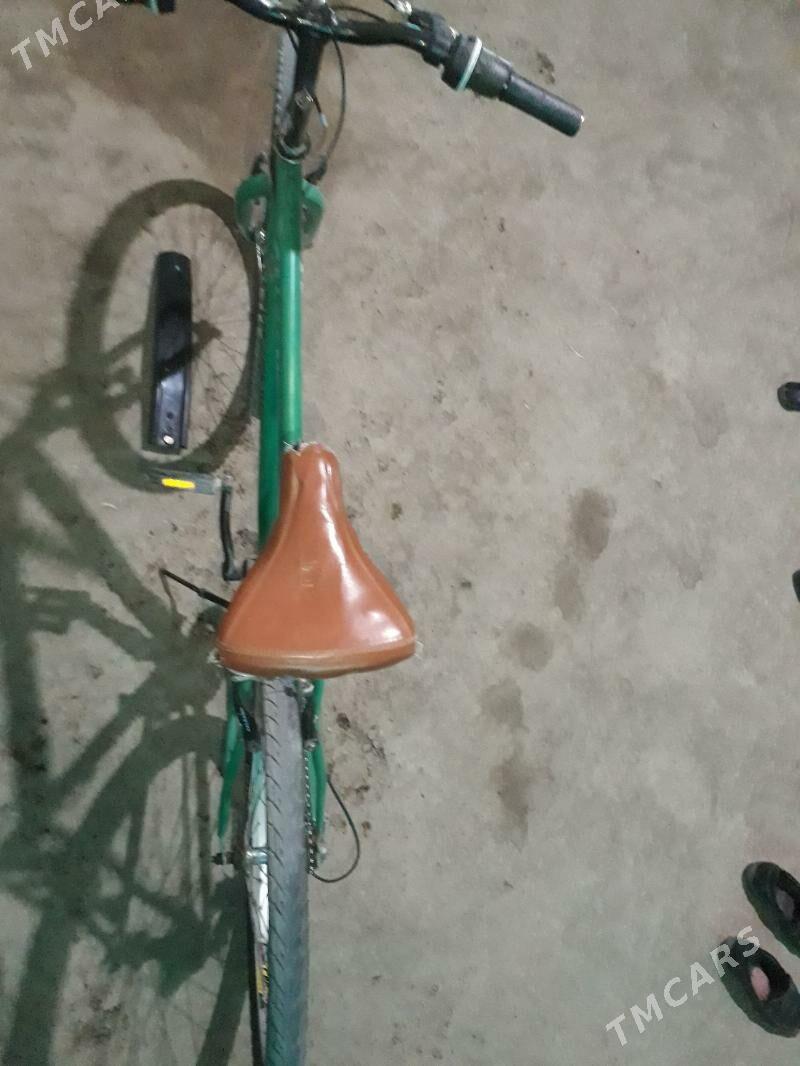 Velik - Гурбансолтан Едже - img 3