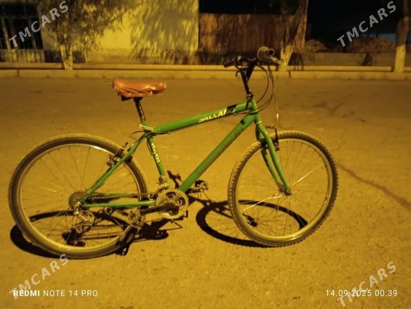 Velik - Гурбансолтан Едже - img 6