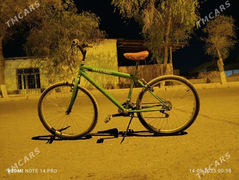 Velik - Гурбансолтан Едже - img 7