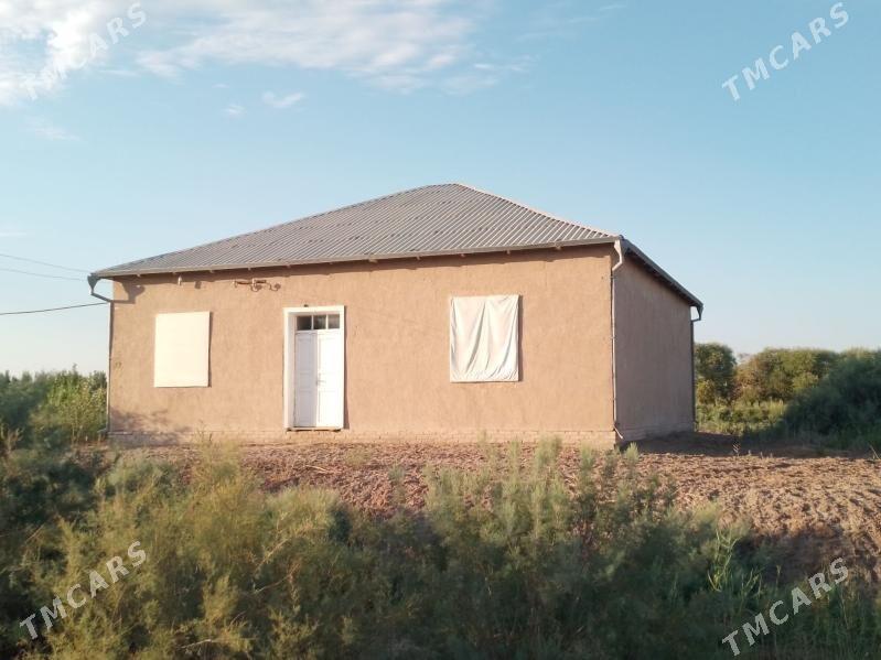 Satlyk jay - Gurbansoltan Eje - img 2