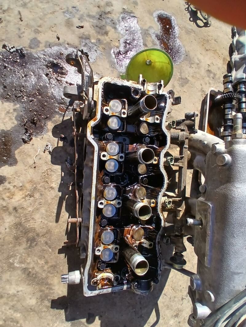 Galopka 1 200 TMT - Gubadag - img 3