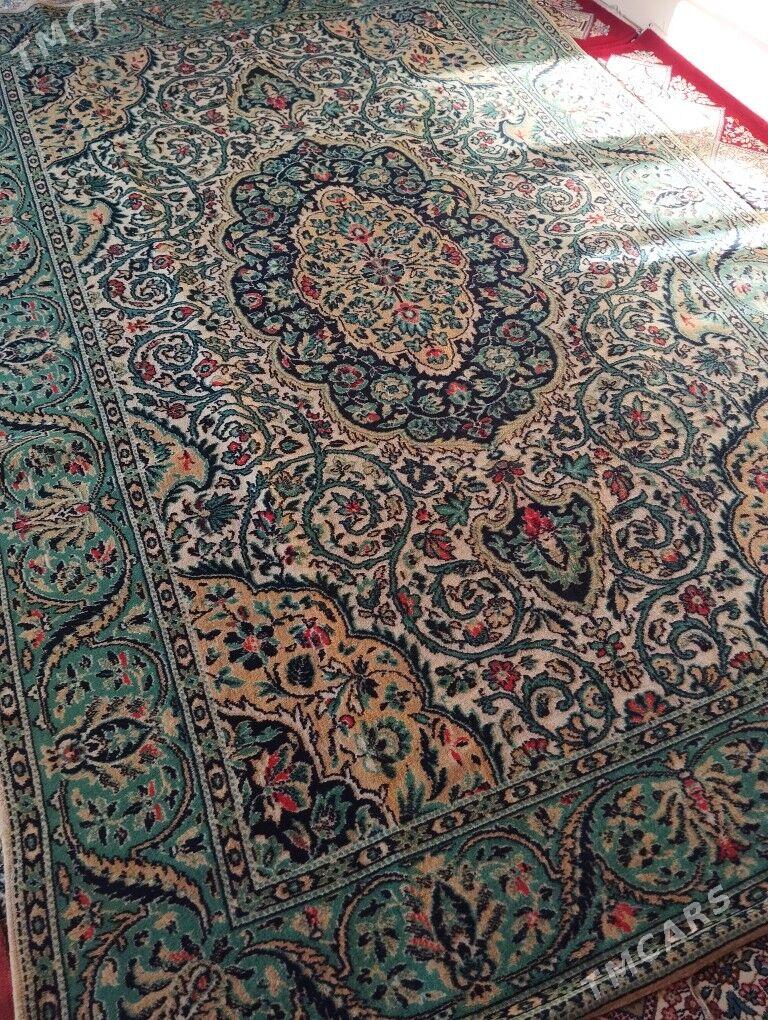 haly - Balkanabat - img 2