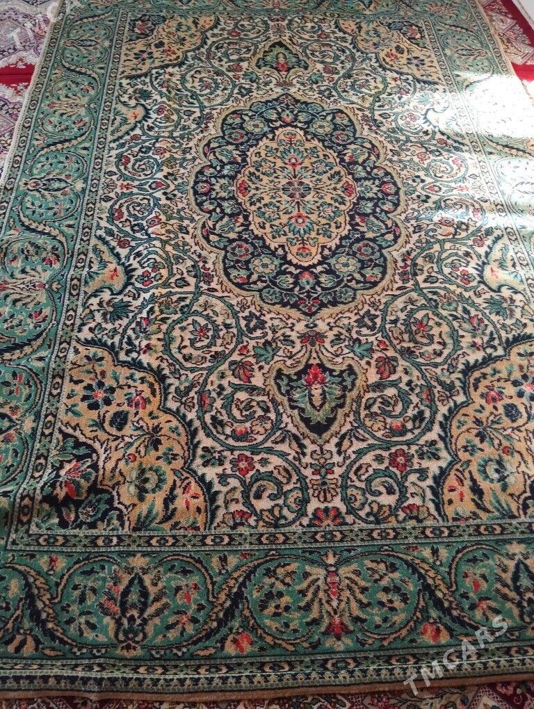 haly - Balkanabat - img 3