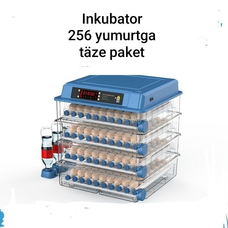 Инкубатор Inkubator - Aşgabat - img 4