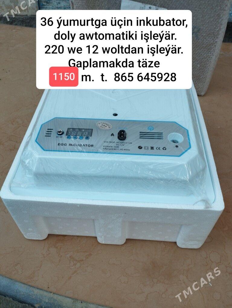 Инкубатор Inkubator - Aşgabat - img 7