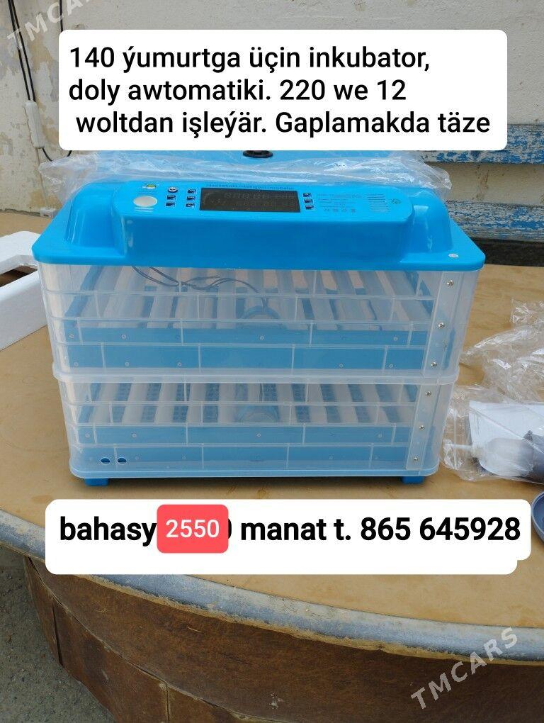 Инкубатор Inkubator - Aşgabat - img 8