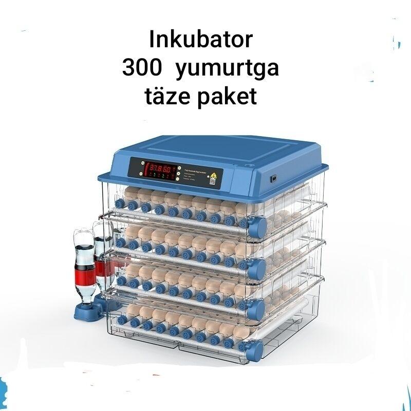 Инкубатор Inkubator - Aşgabat - img 5