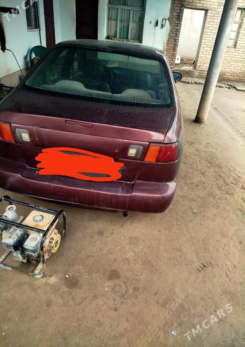 Nissan Sunny 2000 - 20 000 TMT - Halaç - img 2