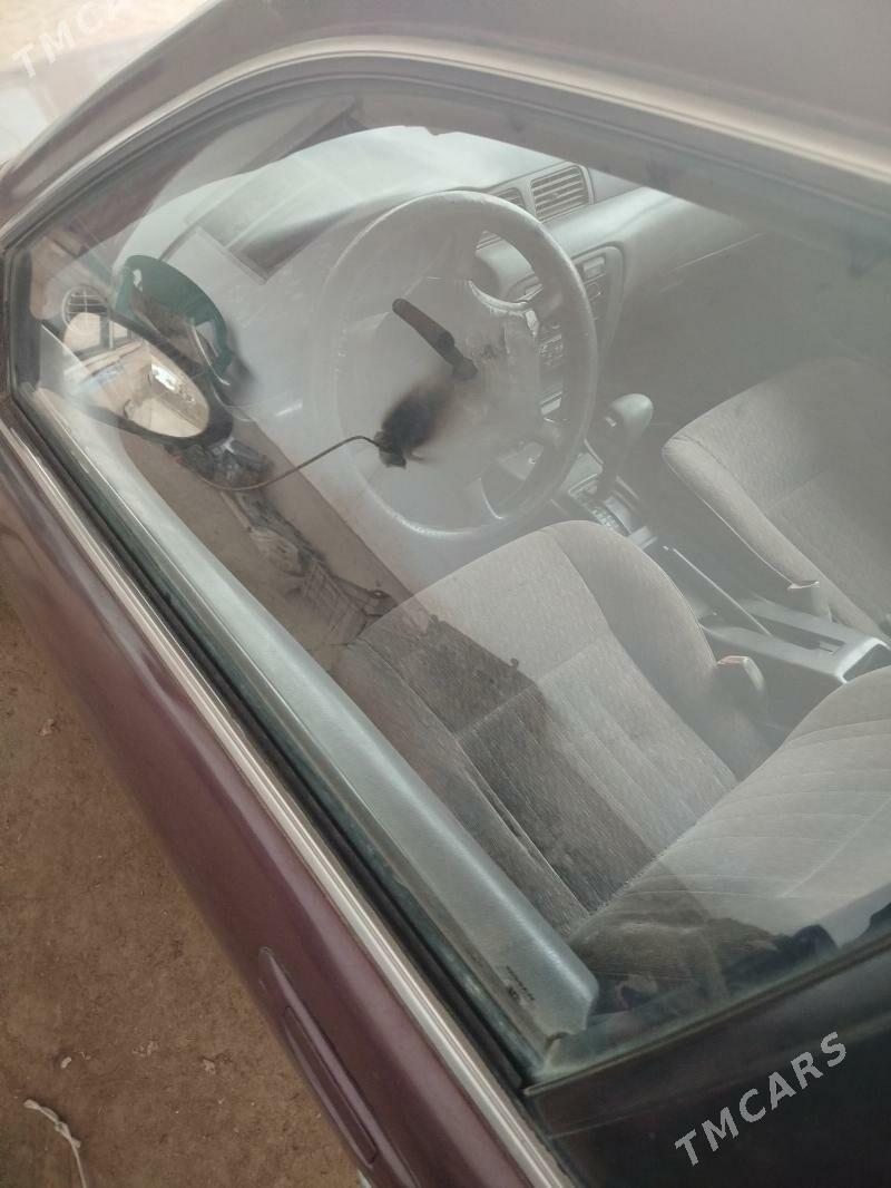 Nissan Sunny 2000 - 20 000 TMT - Halaç - img 5