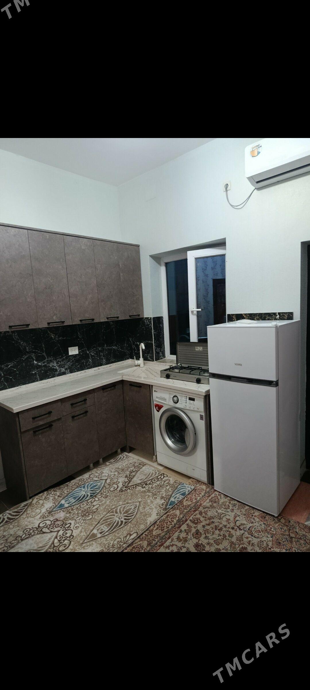 kireyne howly jay - Garadamak - img 2