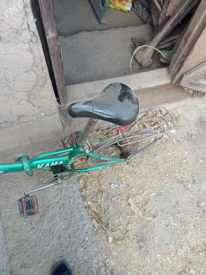 kamakama - Багир - img 5