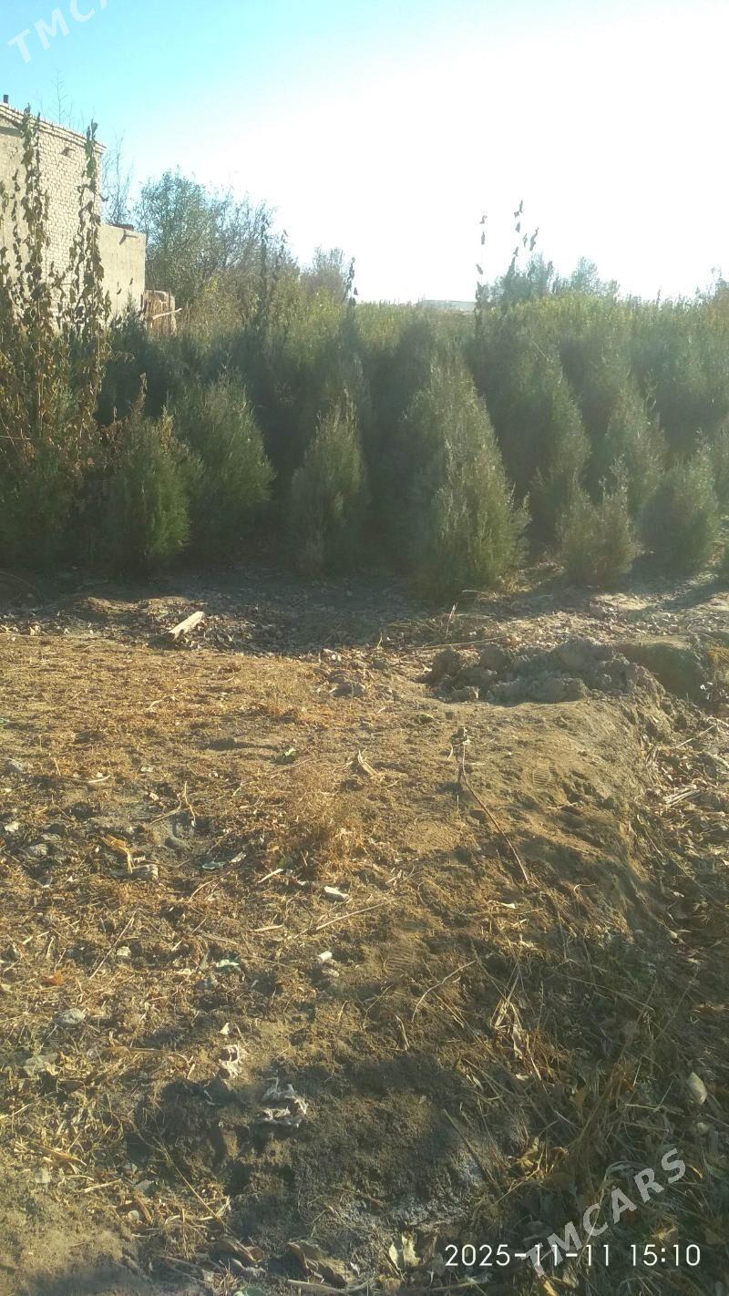   BAGLAR   - Büzmeýin GRES - img 9