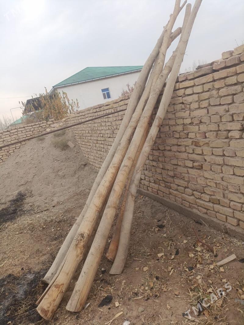 dderek - Daşoguz - img 2