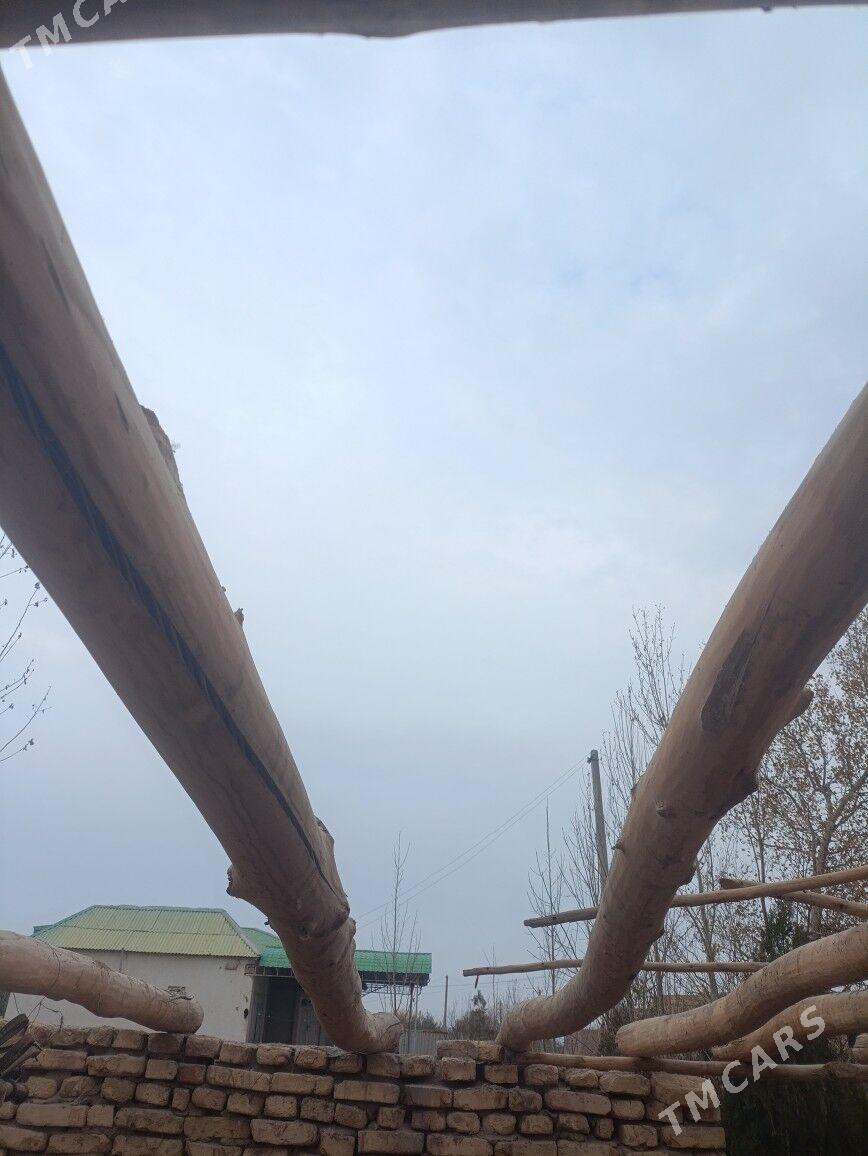 dderek - Daşoguz - img 3