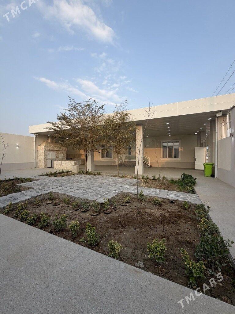 Çoganly 2sagda 5sotok - Çoganly - img 4