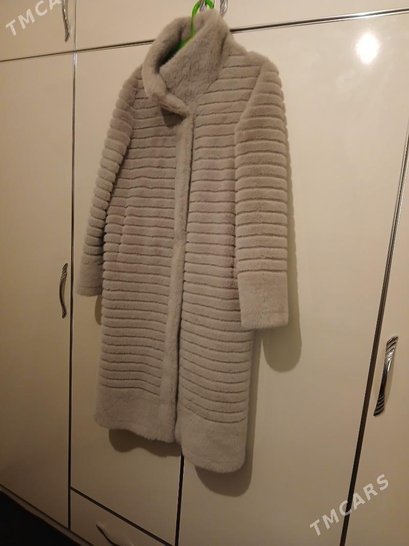 Şuba - Jebel - img 3