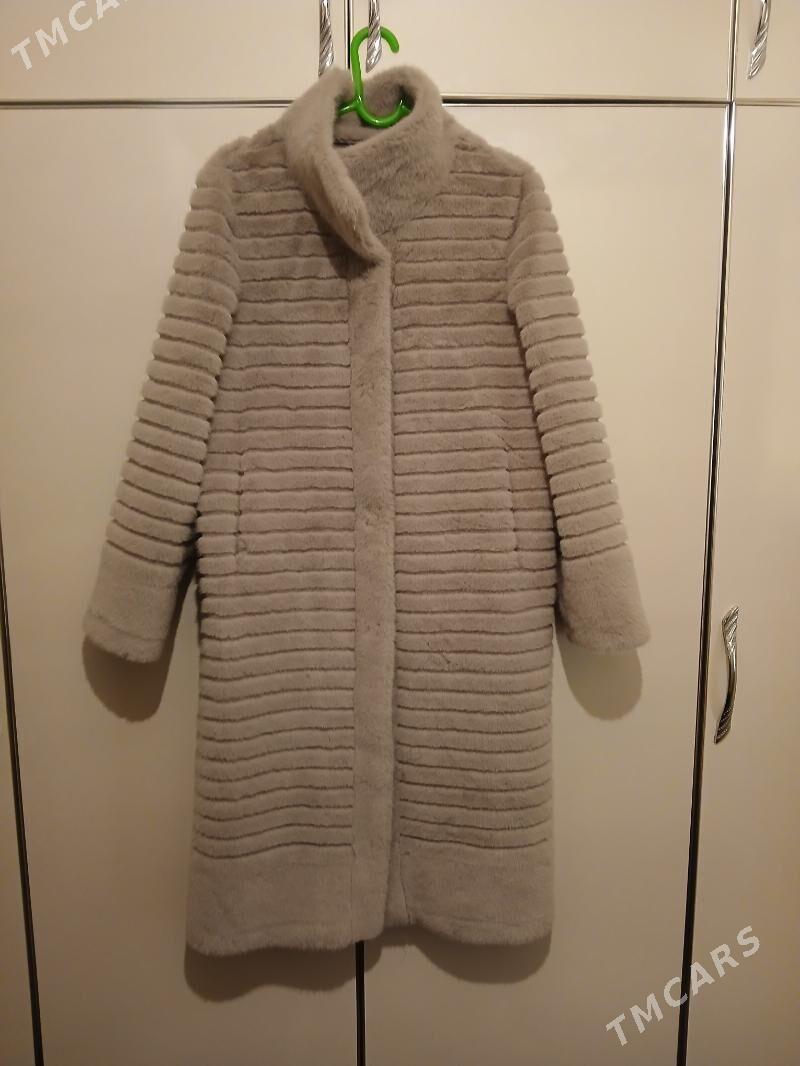 Şuba - Jebel - img 1