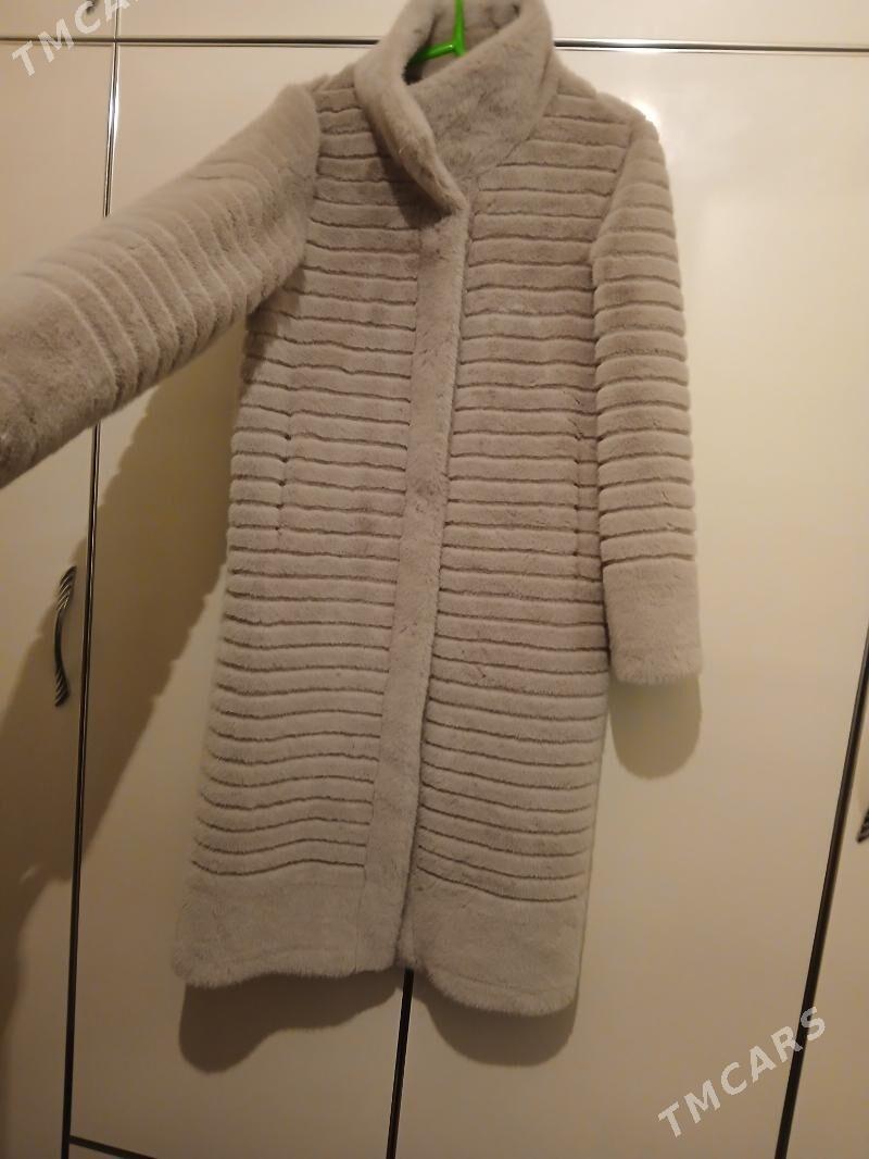 Şuba - Jebel - img 4