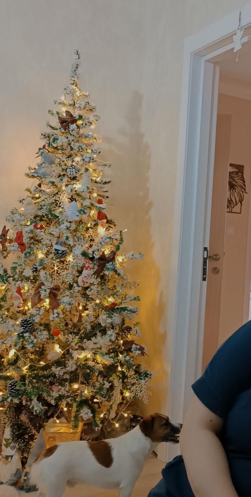 ёлка - Ашхабад - img 2