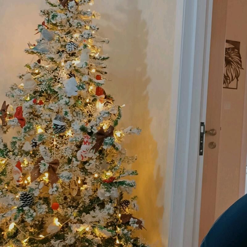 ёлка - Ашхабад - img 1