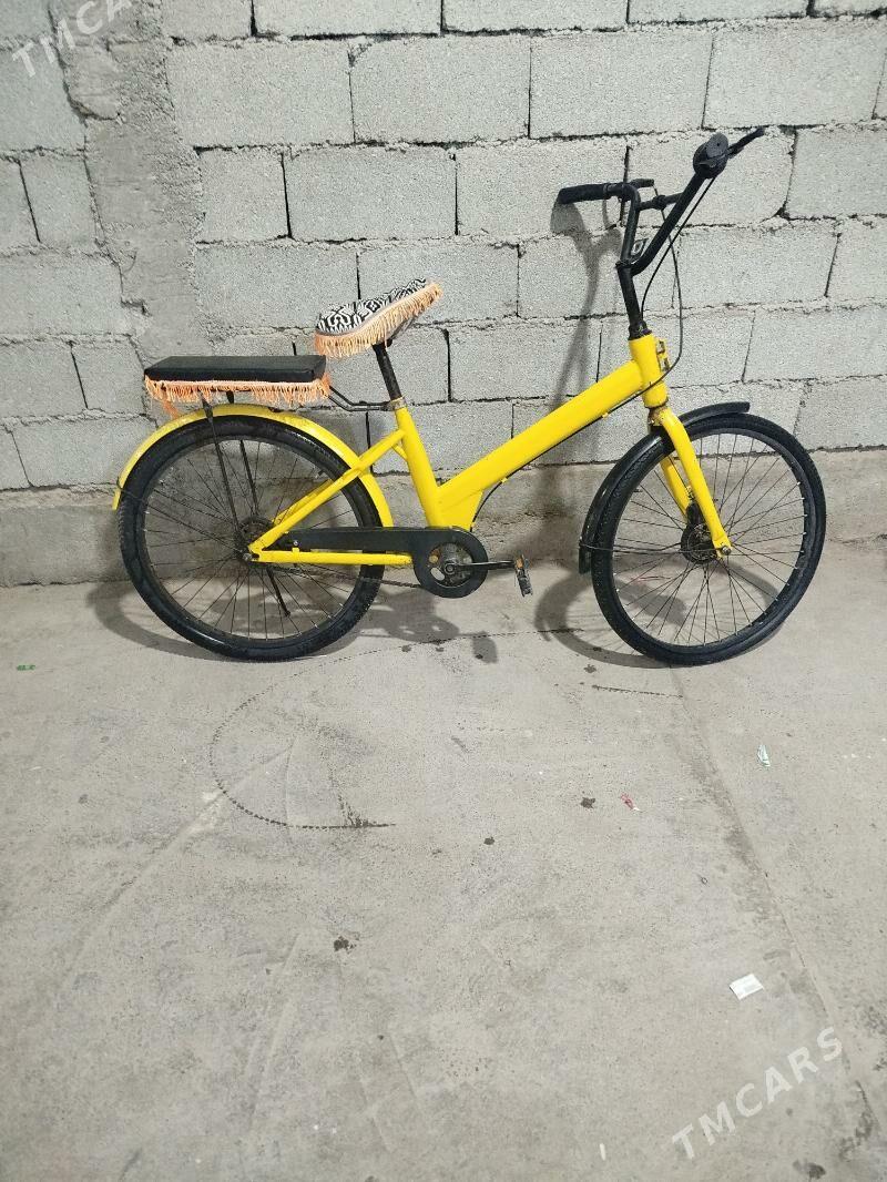 Tıgır yagdaýy gowy - Багир - img 1