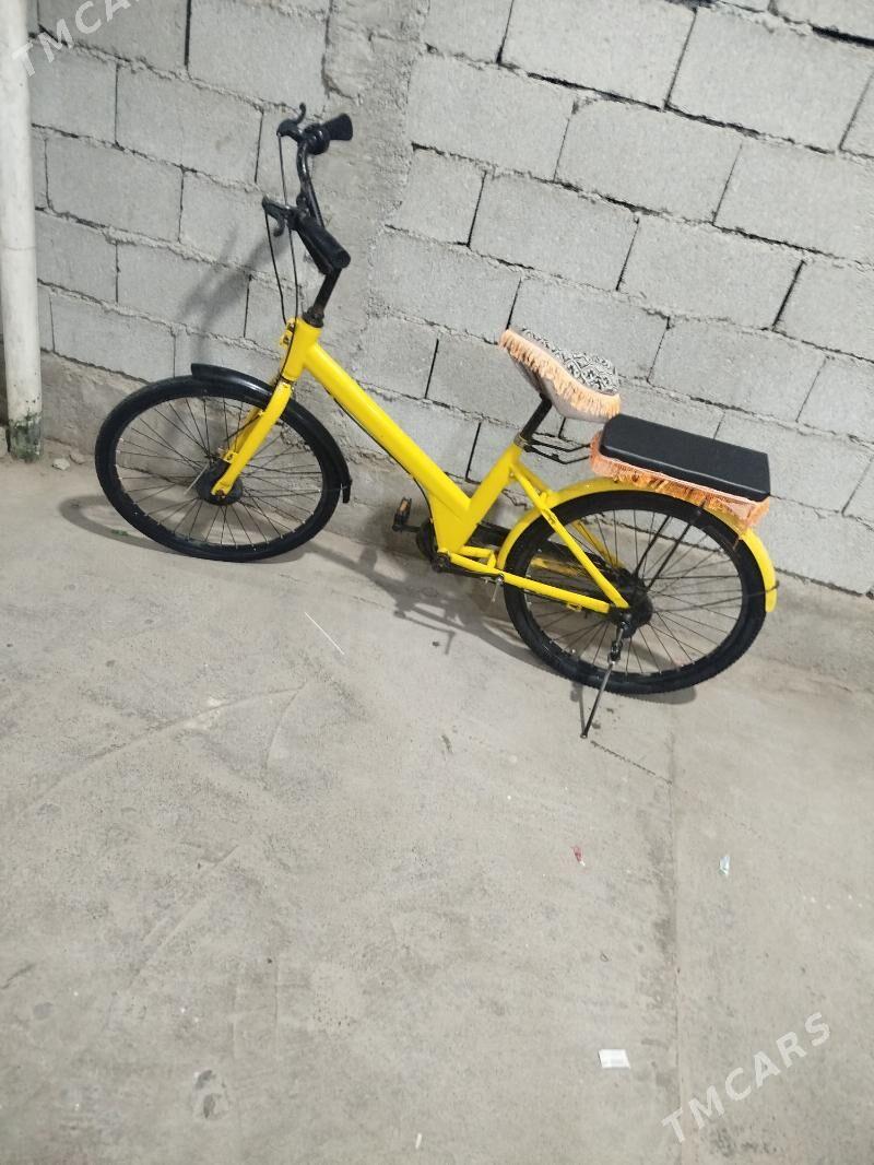 Tıgır yagdaýy gowy - Багир - img 2