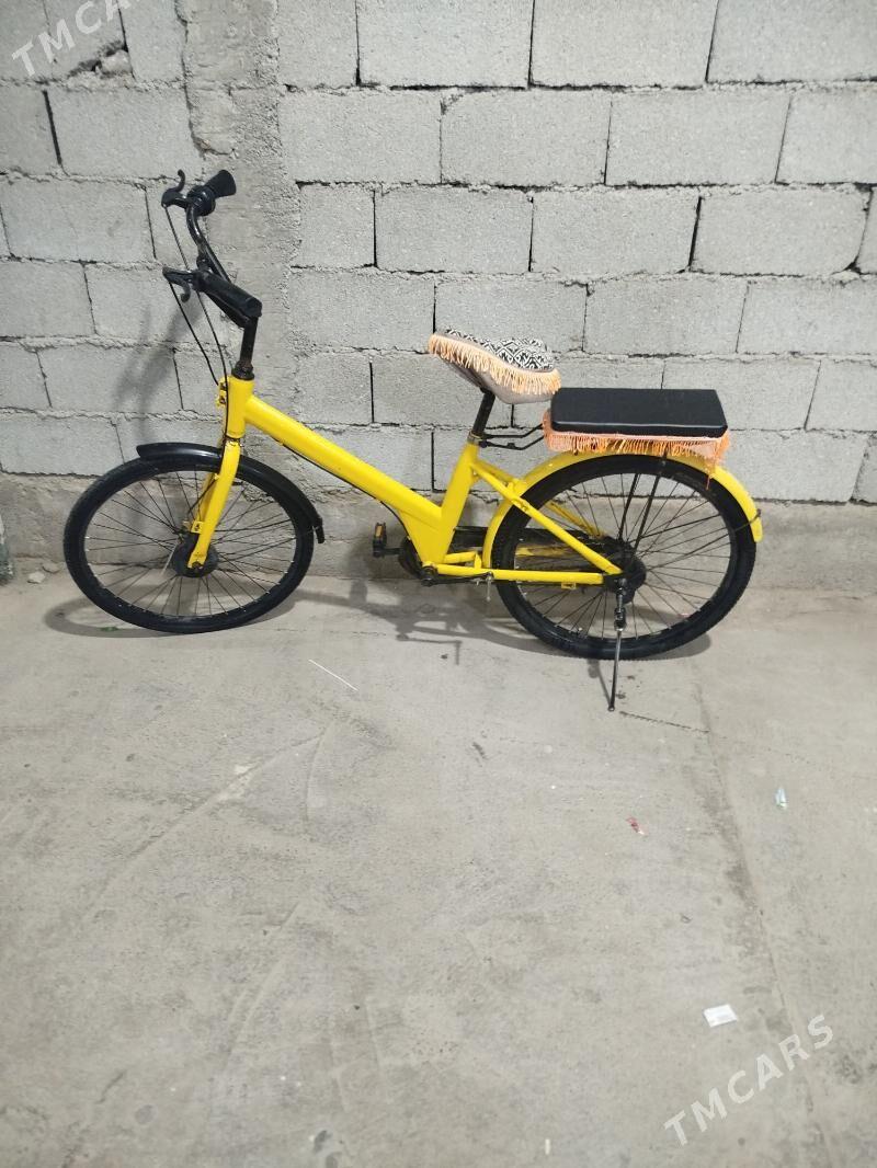 Tıgır yagdaýy gowy - Багир - img 3