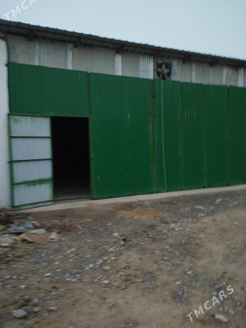 arenda sklad - Анев - img 1